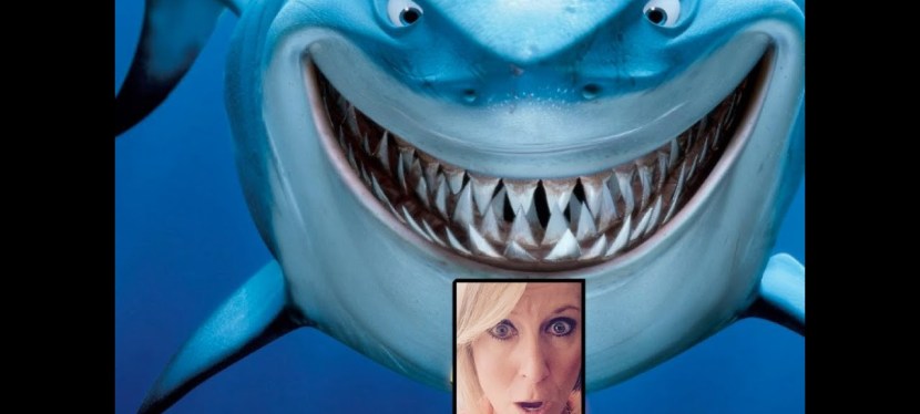 Don't Be Shark Bait! Anastasia's Hump Day&nbsp;Happenings