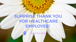 HDH Surprise Thumbnail